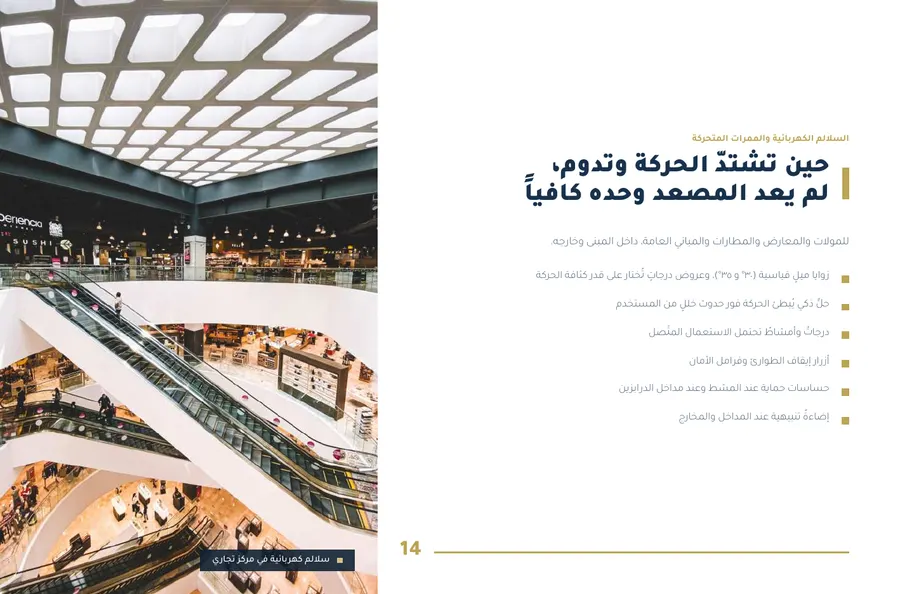 صفحة ١٤ من بروفايل راية همة